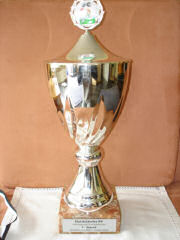 Pfingstturnier Hoisbütteler SV 2006, 1. Platz